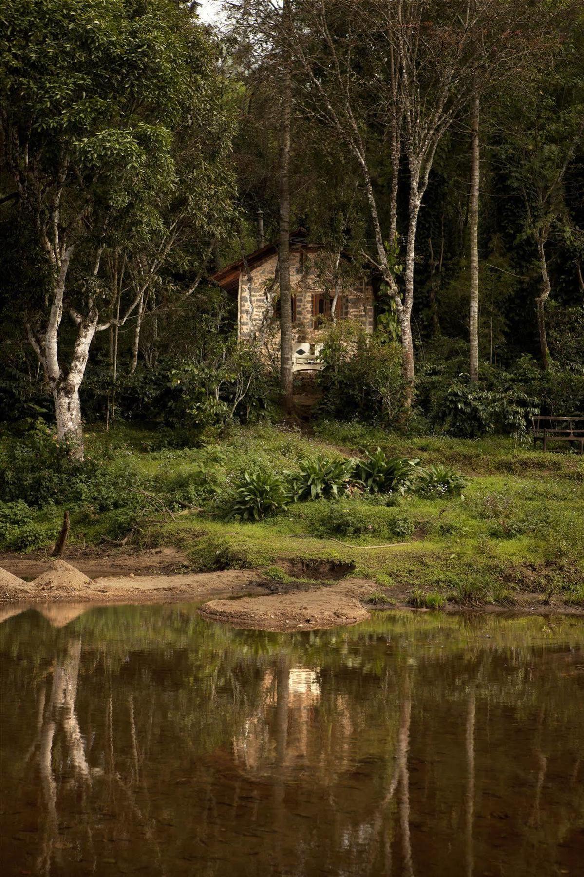 Elephant Valley Eco Farm Hotel 科代卡纳尔 外观 照片